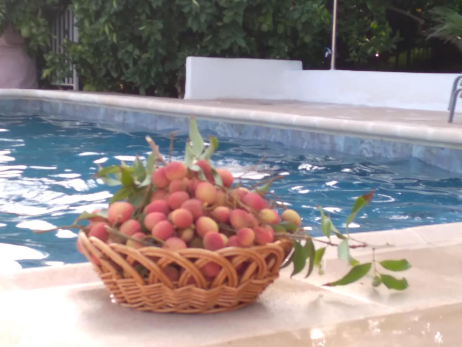 Villa Cortijo Del Sidi Motril Exterior foto